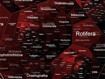 Visualizing 100k+ groups in FoamTree